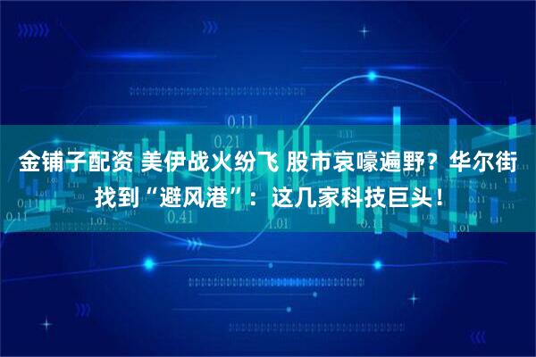 金铺子配资 美伊战火纷飞 股市哀嚎遍野？华尔街找到“避风港”：这几家科技巨头！